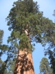 Von der Sequoiafarm zur Biologischen Station
